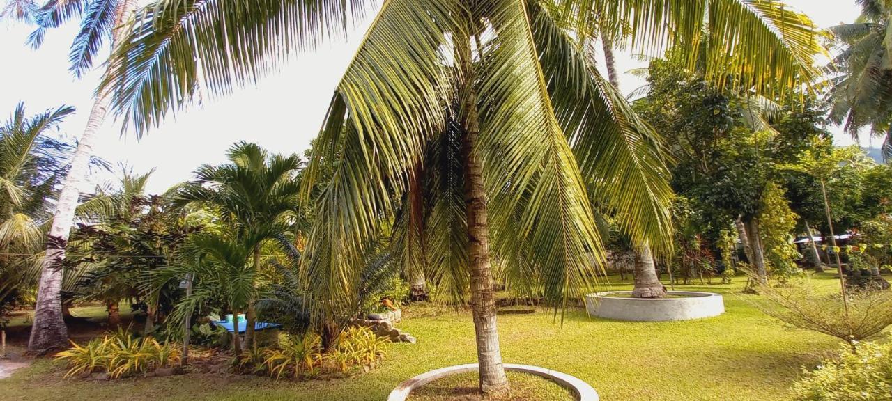 Bat Tree Cottages Agoho Bagian luar foto
